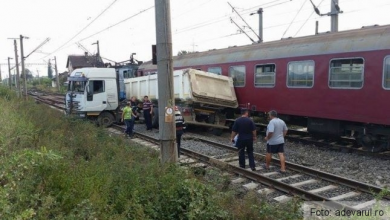 camiontren.jpg
