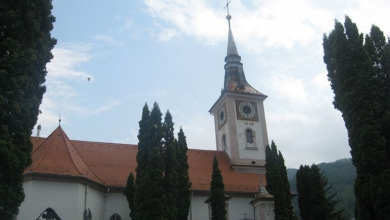 img-1398_2.jpg