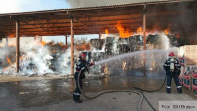 incendiu calea feldioarei_194802.jpg