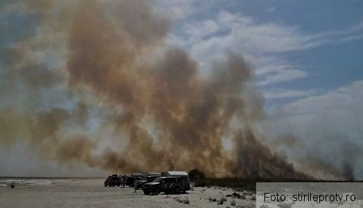 Incendiu de proporţii pe litoral, la Vadu! Focul ar fi fost pus INTENŢIONAT 1 incendiulitoral.jpg