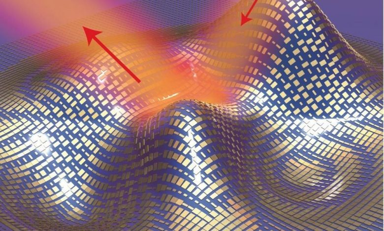 Proiect: Peleriana care te face invizibil! 1 invisibility-cloak.jpeg