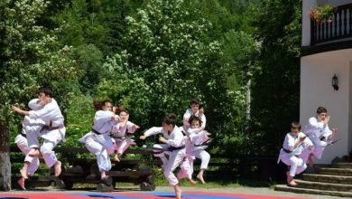 karateshotokan.jpg