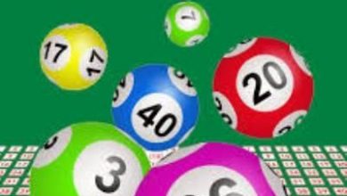 loto9_3.jpg