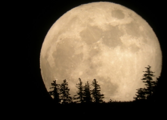 Administratorul NASA este entuziasmat de perspectiva de a exploata apă direct de pe Lună 1 lunamare.jpg