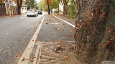 pista-biciclete-strada-spitalului-copaci-septembrie-2015-5.j