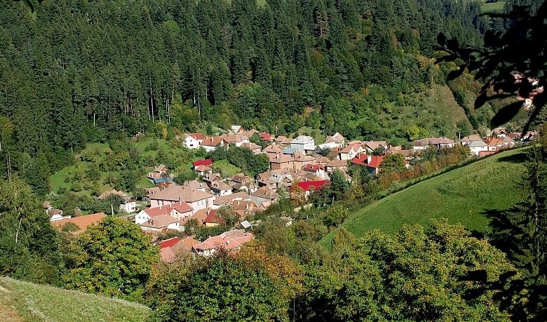 poiana-marului.jpg