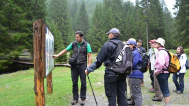 prin bucegi (8)_195054.JPG