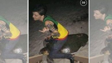 sea-turtle-ride.jpg