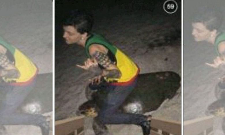 sea-turtle-ride.jpg
