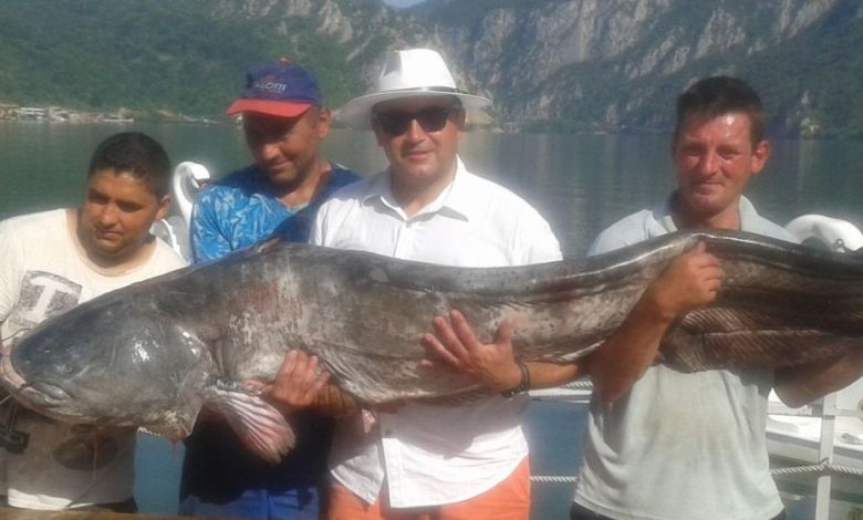 UAU. Ce „MONSTRU” a fost prins în România!!!... 1 somn_2.jpg