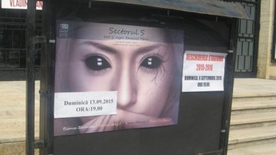 teatrusectoruls.jpg