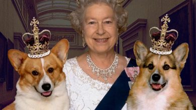 the-queen-with-two-corgie.jpg
