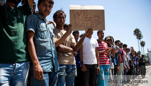 Refugiații din Grecia:„We need Halep” 1 weneedhalep.png