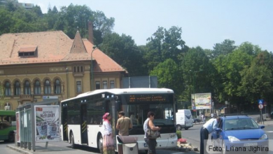 autobuzpoianalivada_2.jpg