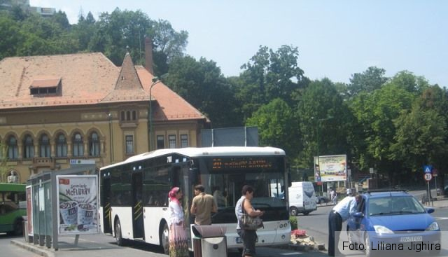 autobuzpoianalivada_2.jpg