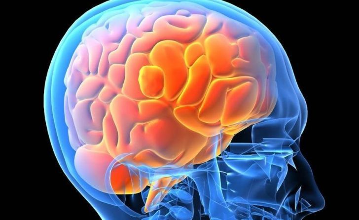 STUDIU. Activitatea cerebrală este proprie fiecărui individ, ca amprenta digitală 1 creier.jpg