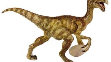 dino.jpg