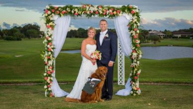 dog-wedding-best-man_195517.jpg