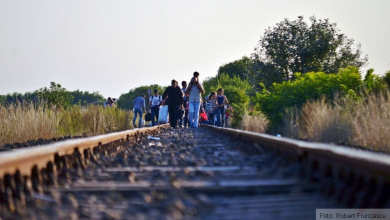 dsc-5056.jpg