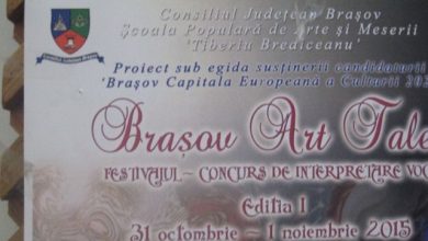 festivalafis.jpg