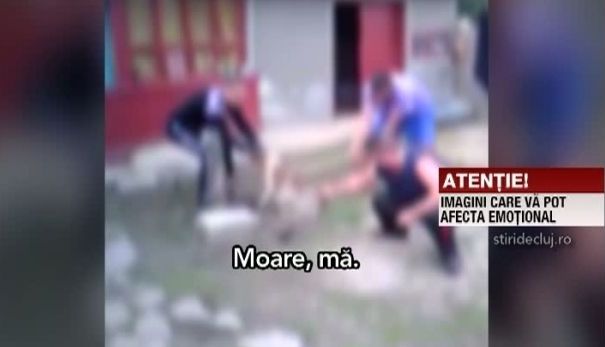 filmare.jpg