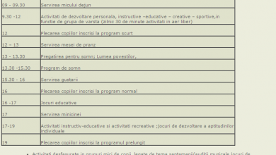 gradinitabrasov2.png