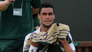 hanescu.jpg