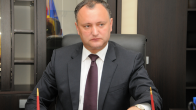 igordodon.png