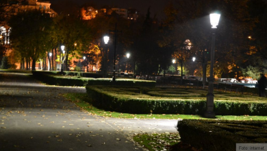 parctitulescu.jpg