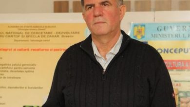 sorinchiru.jpg