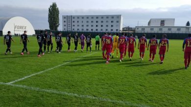 steaua1_2.jpg