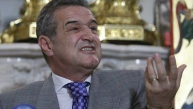 becali_6.jpg