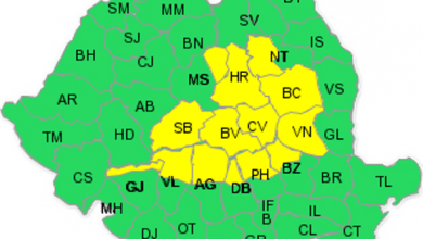 codgalbenbv.png
