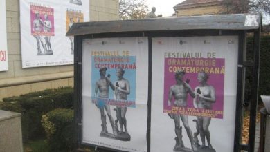 festivalteatruafise.jpg