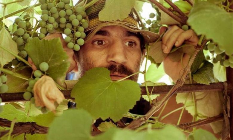 CA-N FILME. Firicel („Las Fierbinți”), AMOR cu... 1 firicel.jpg