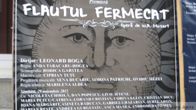 flautulfermecat.jpg