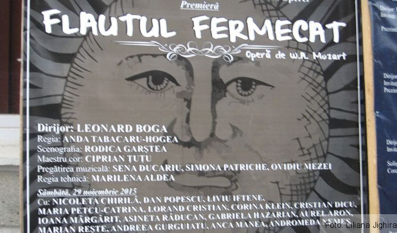flautulfermecat.jpg
