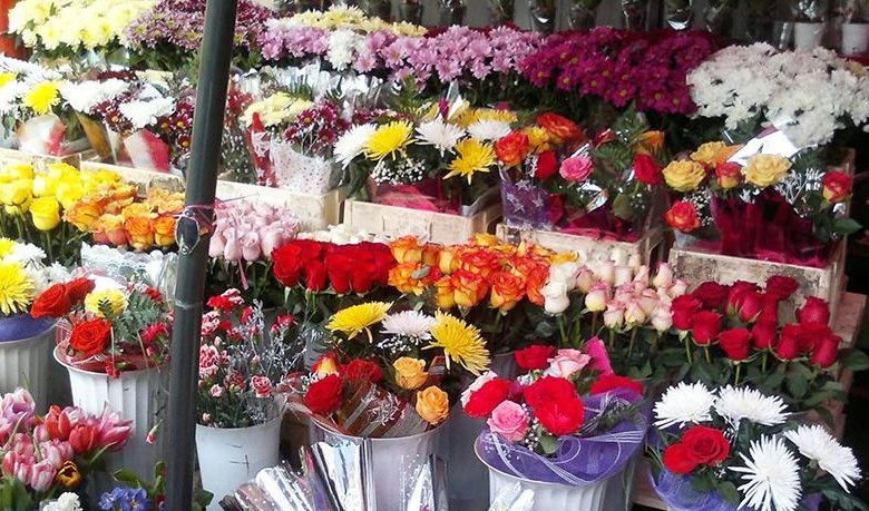 BRAŞOV. PERCHEZIŢII la firme ce comercializează flori 1 floripiata.jpg