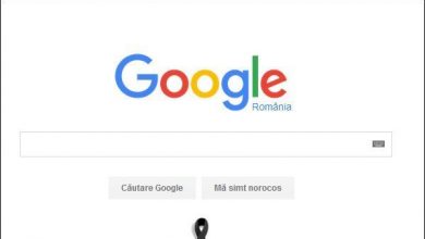 googledoliufranta.jpg