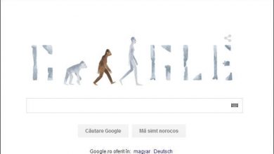 Google Doodle pentru „strămoașa” Lucy 8 googledoodle.jpg