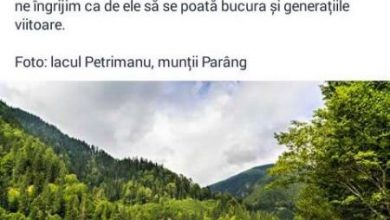 guvern_2.jpg