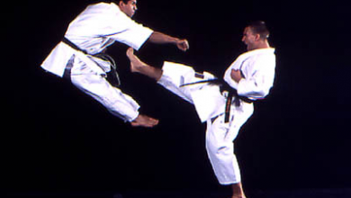 karate.png