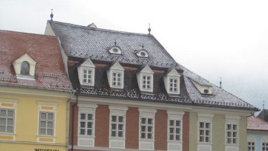 librariahumanitasfrig.jpg
