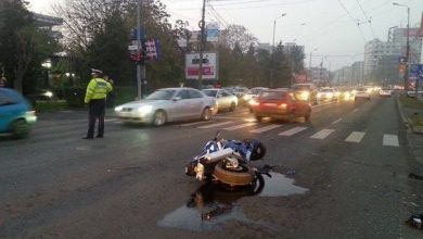 motososea.jpg