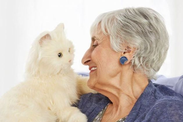 pisica robot 2_198974.jpg