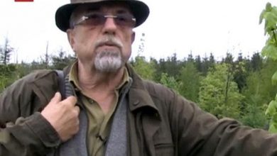pisici.jpg