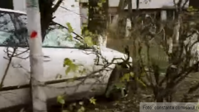 accident constanta 2_199604.png