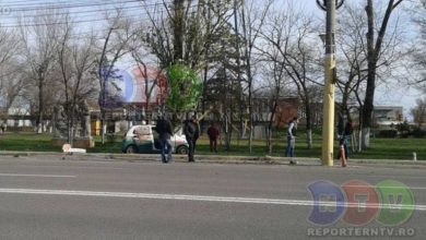 accidentmamaia.jpg