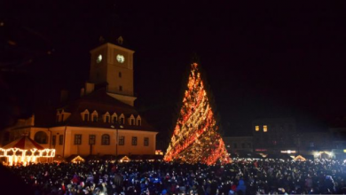 aprinderea bradului dec 121_200134.JPG