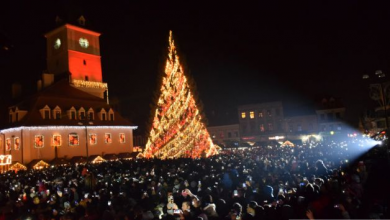 aprinderea bradului dec 138_200137.JPG